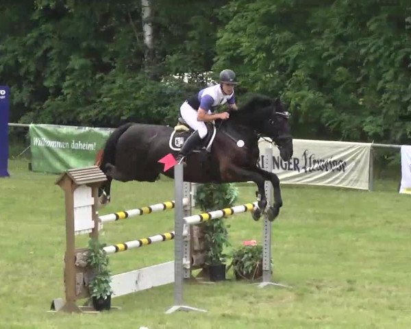 Reitturnier Leingarten 2016