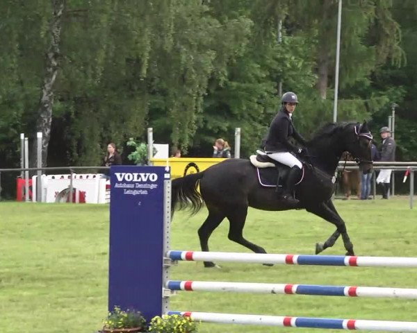 Reitturnier Leingarten 2016