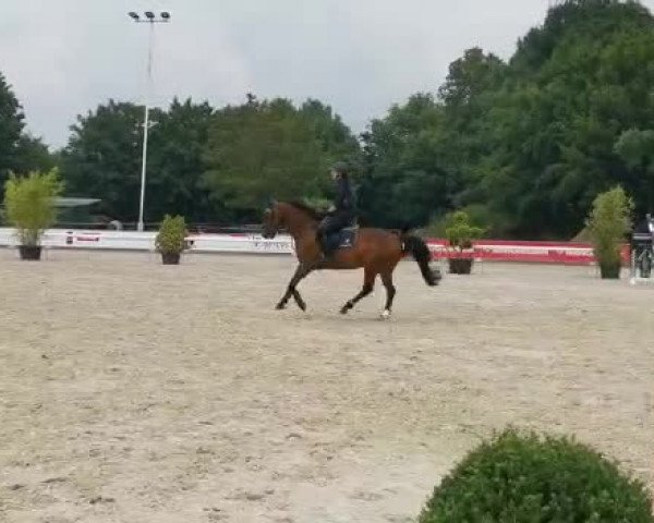 Video of Little Dancer St