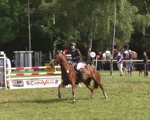 Reitturnier Leingarten 2016