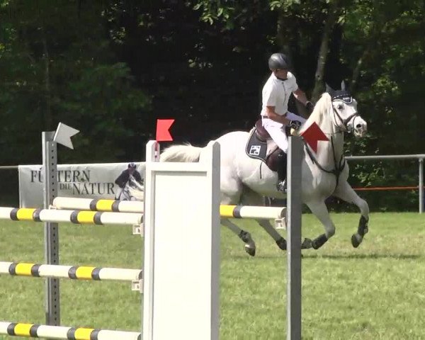 Reitturnier Leingarten 2016
