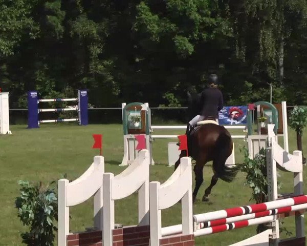 Reitturnier Leingarten 2016