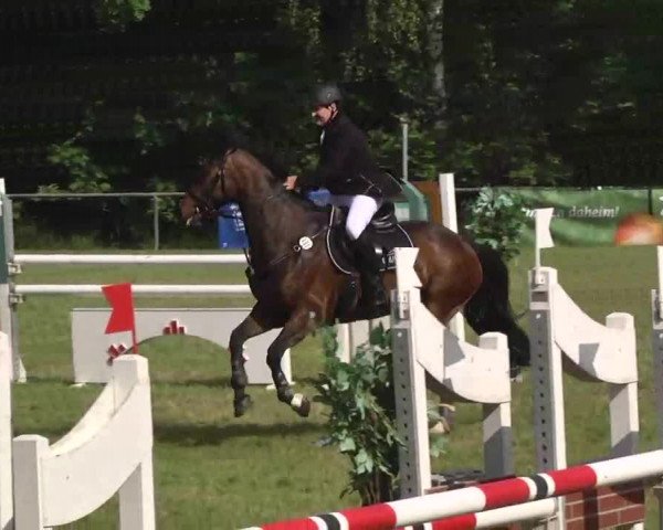 Reitturnier Leingarten 2016