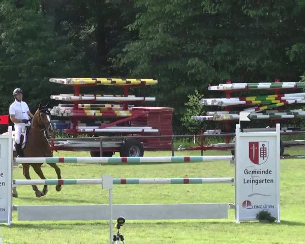 Reitturnier Leingarten 2016