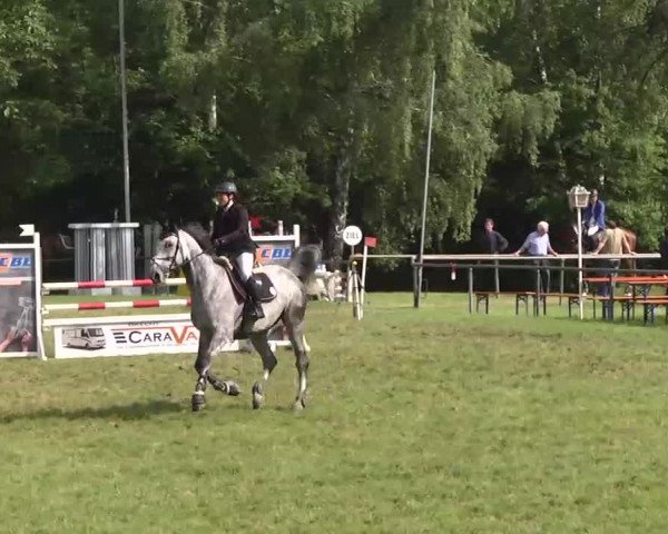 Reitturnier Leingarten 2016