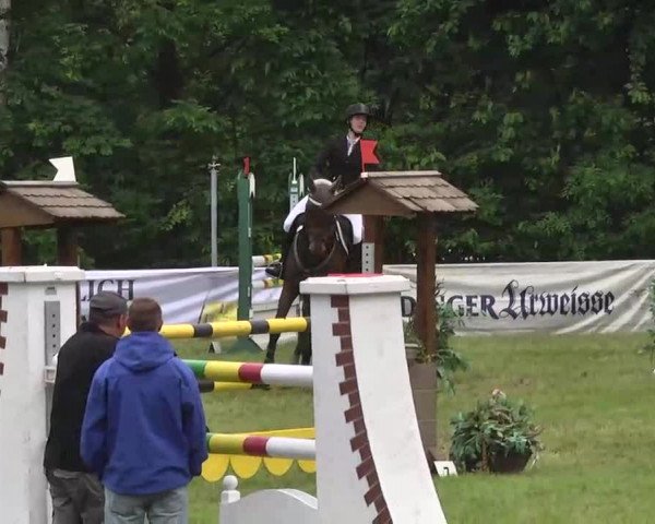 Reitturnier Leingarten 2016