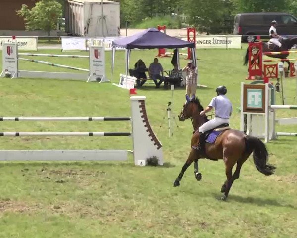 Reitturnier Leingarten 2016