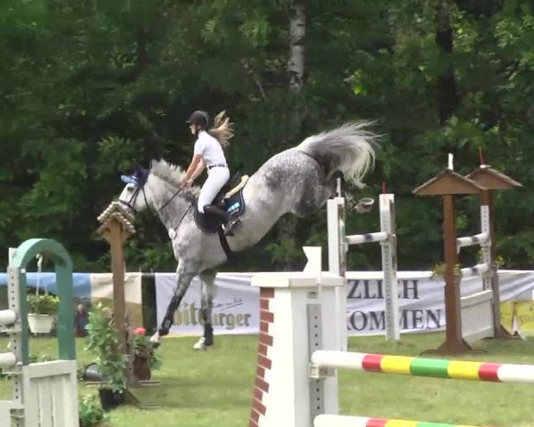 Reitturnier Leingarten 2016