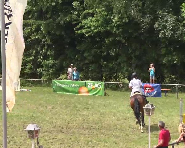 Reitturnier Leingarten 2016