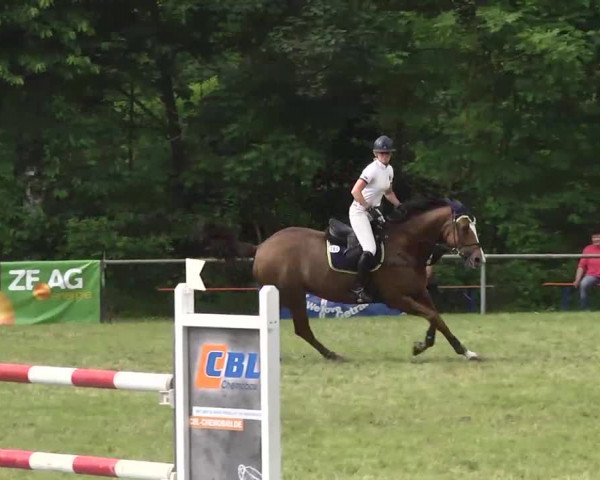 Reitturnier Leingarten 2016