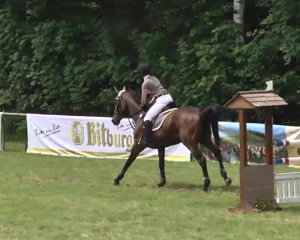 Reitturnier Leingarten 2016