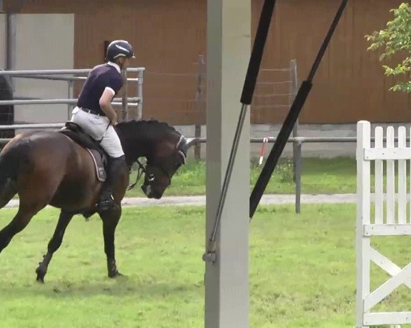 Reitturnier Leingarten 2016