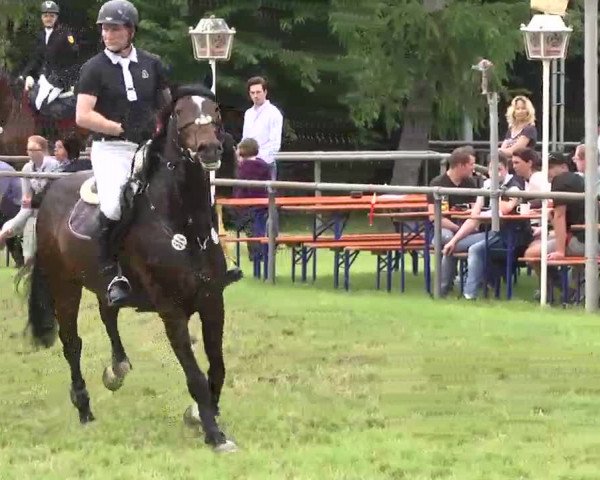 Reitturnier Leingarten 2016