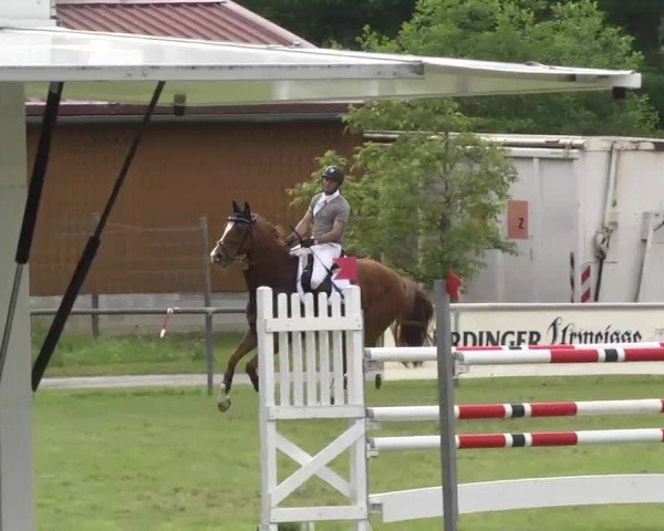 Reitturnier Leingarten 2016