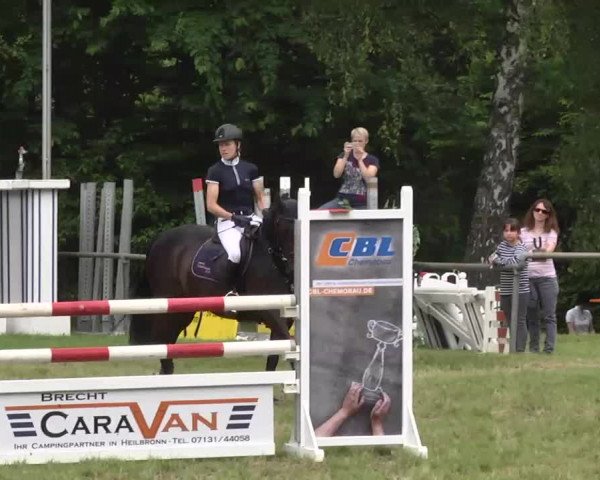 Reitturnier Leingarten 2016