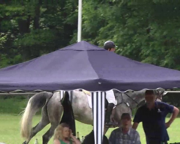 Reitturnier Leingarten 2016