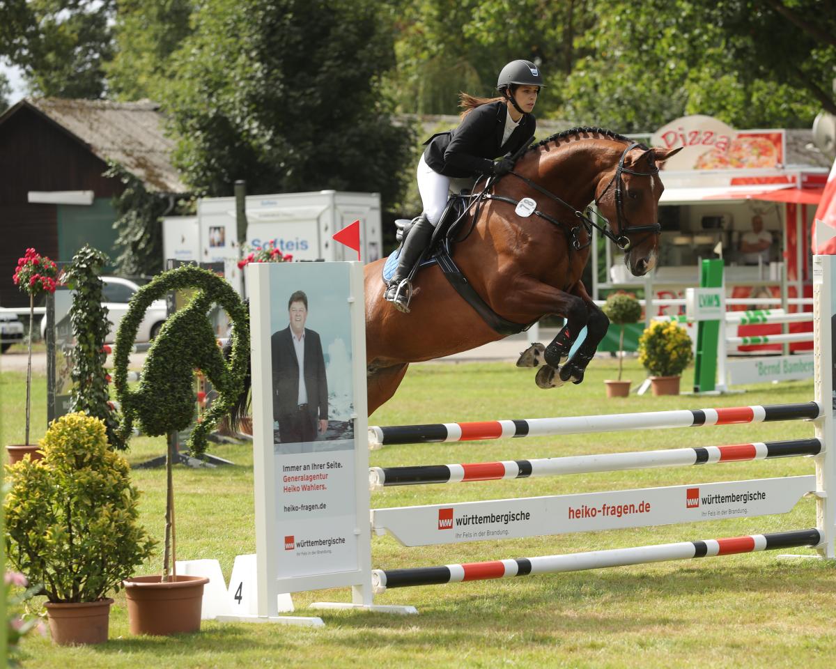 Jumper Cassi 8 (Hanoverian, 2013, from Armitage 2)