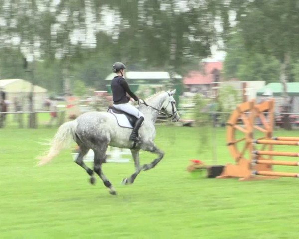 Reitturnier Hille 2016