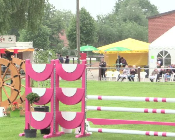 Reitturnier Hille 2016