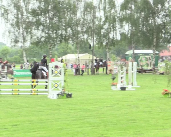 Reitturnier Hille 2016