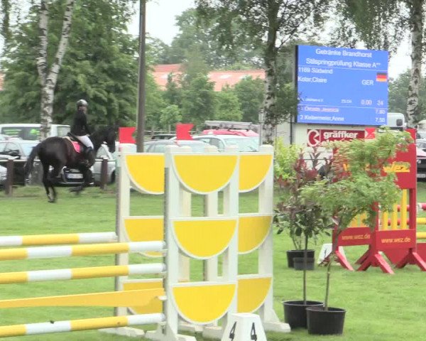 Reitturnier Hille 2016