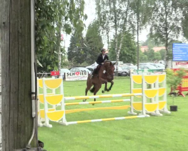 Reitturnier Hille 2016