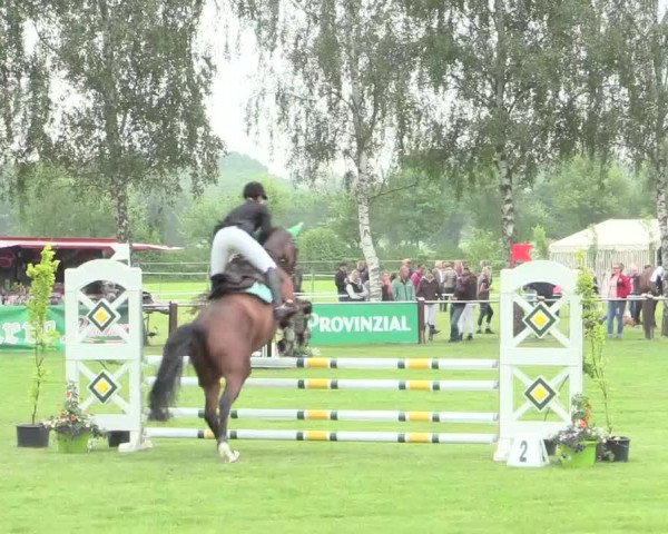 Reitturnier Hille 2016