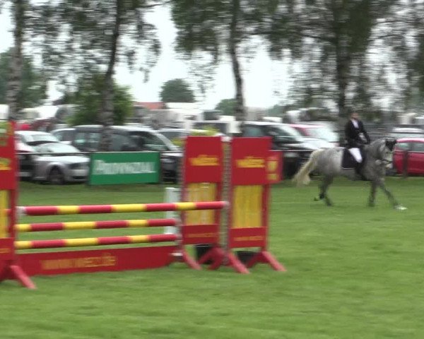 Reitturnier Hille 2016