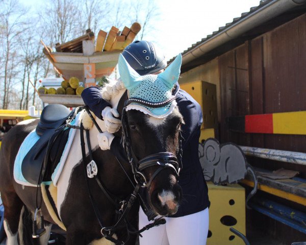 broodmare Mandolina 8 (Lewitzer, 2007, from Usar)