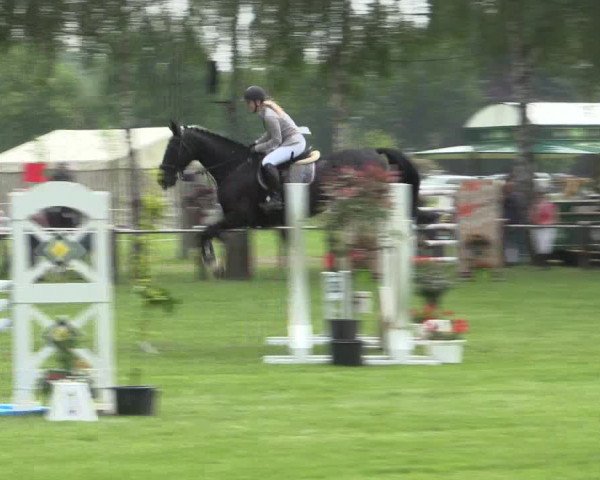 Reitturnier Hille 2016