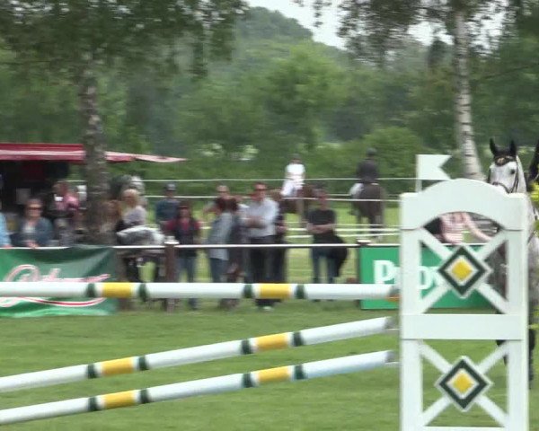 Reitturnier Hille 2016