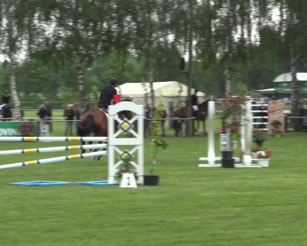 Reitturnier Hille 2016