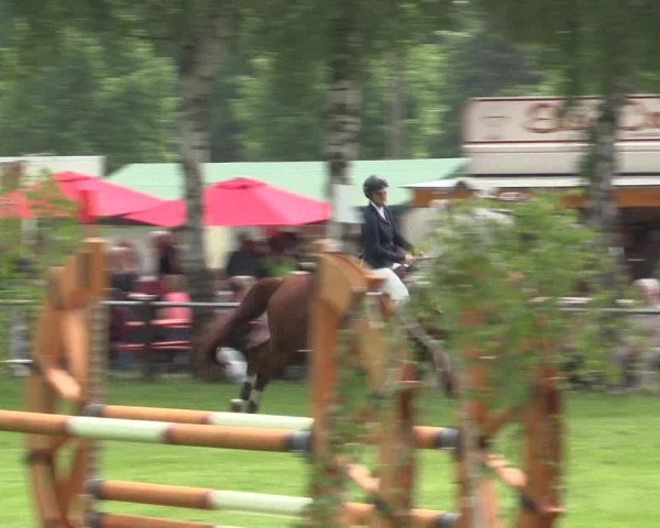 Reitturnier Hille 2016
