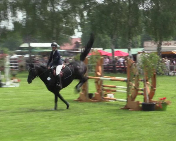 Reitturnier Hille 2016