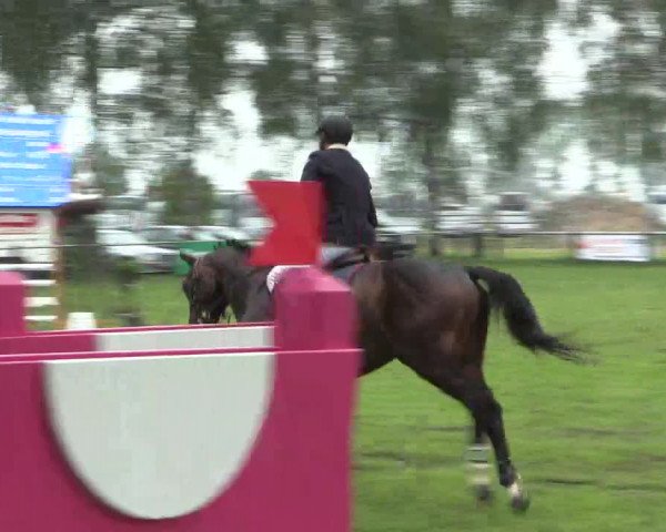 Reitturnier Hille 2016