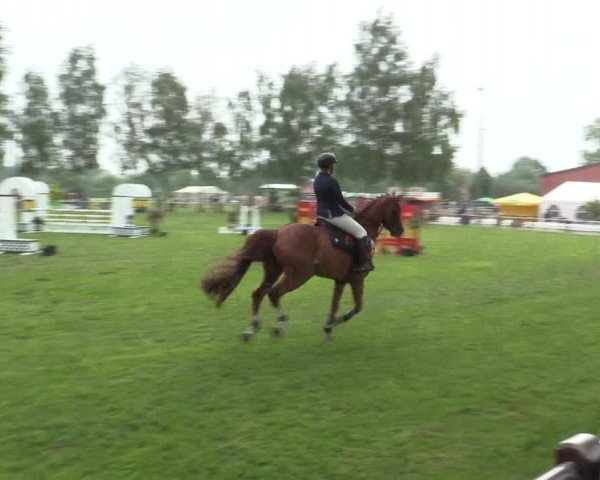 Reitturnier Hille 2016
