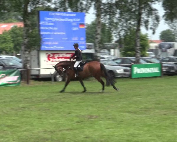 Reitturnier Hille 2016