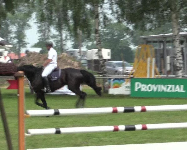 Reitturnier Hille 2016