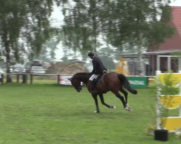 Reitturnier Hille 2016