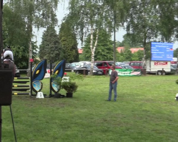 Reitturnier Hille 2016