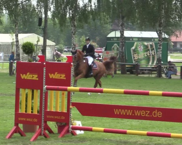 Reitturnier Hille 2016