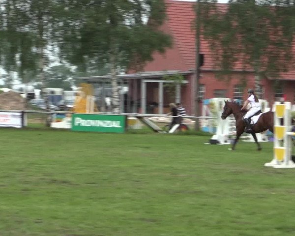 Reitturnier Hille 2016