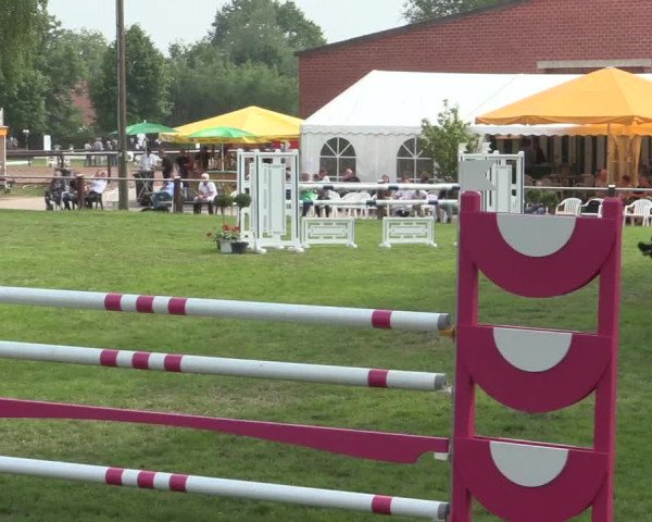 Reitturnier Hille 2016