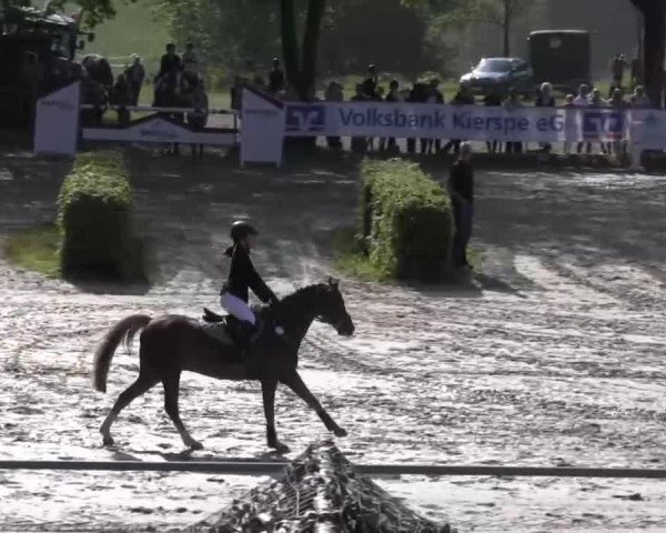 Reitturnier Kierspe-Hohenholten 2016
