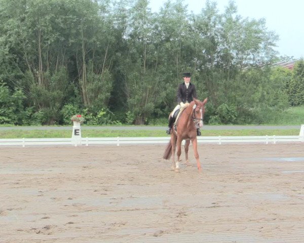 Reitturnier Hille 2016