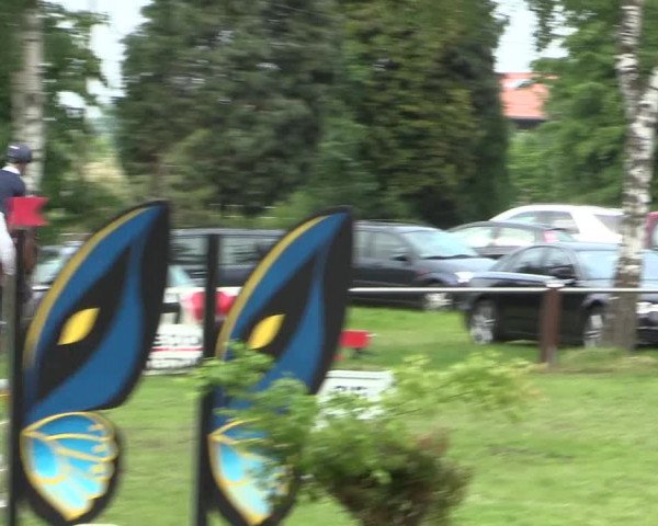 Reitturnier Hille 2016
