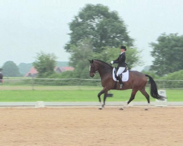 Reitturnier Hille 2016