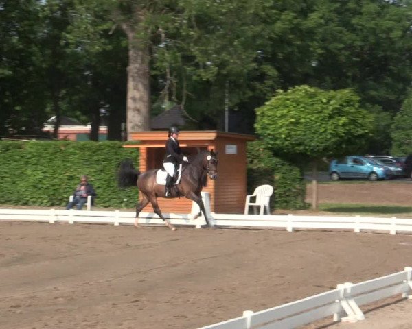 Reitturnier Hille 2016