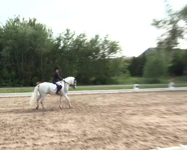 Reitturnier Hille 2016