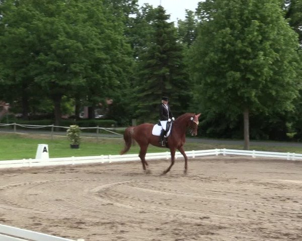 Reitturnier Hille 2016